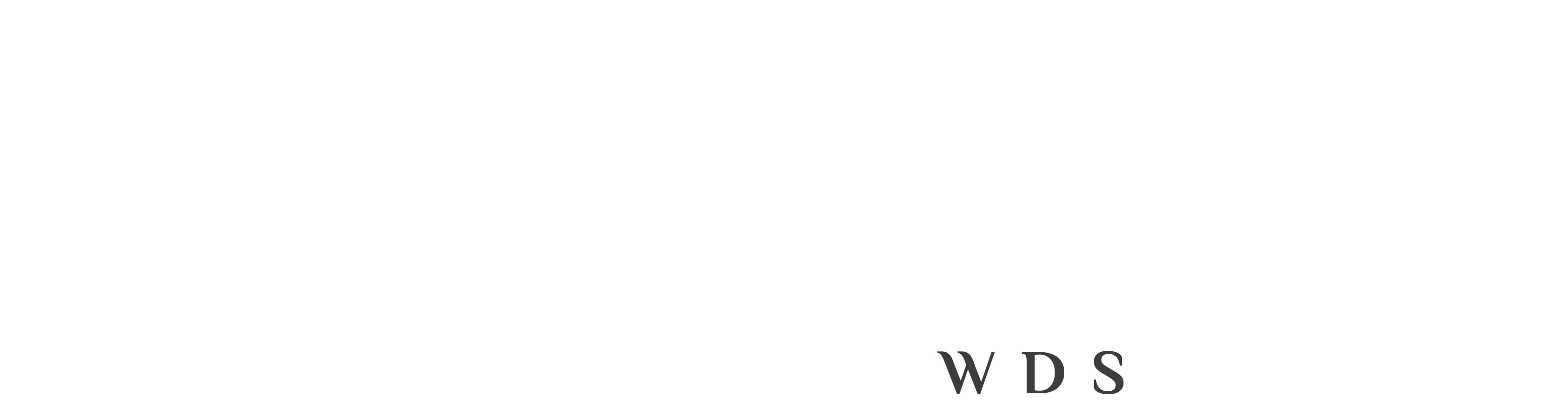 WDS logo